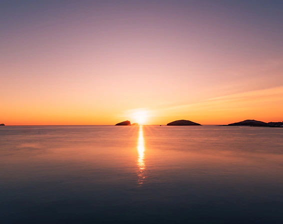 Samsung Galaxy S26/S26+