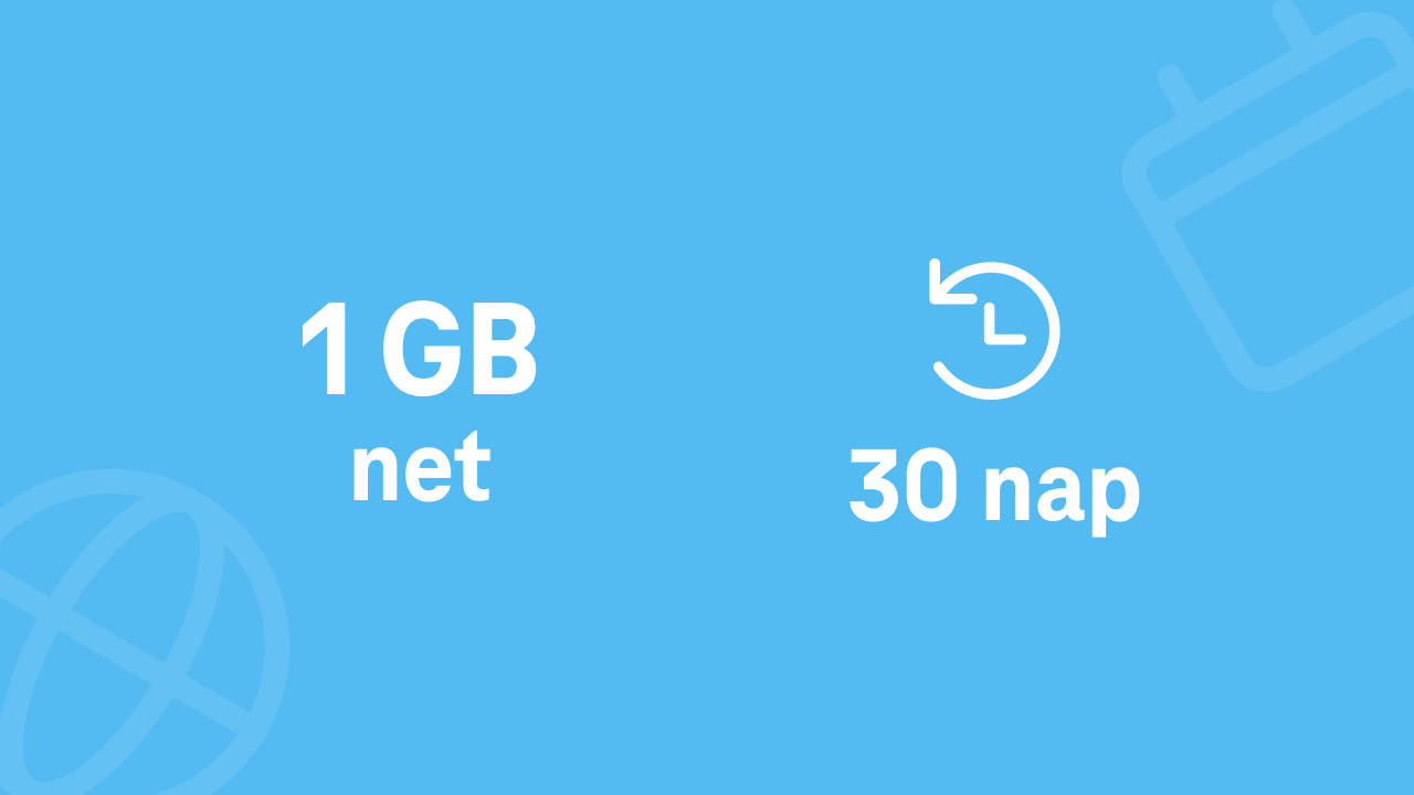 Net 1 GB
